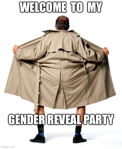Surprise! | WELCOME  TO  MY; GENDER REVEAL PARTY | image tagged in did you just assume my gender | made w/ Imgflip meme maker