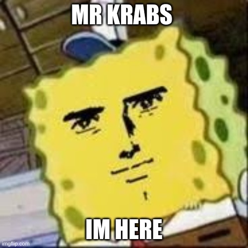 MR KRABS; IM HERE | made w/ Imgflip meme maker