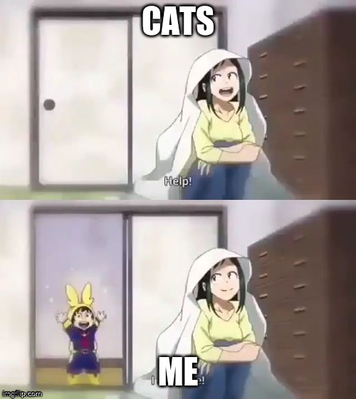 deku help i am here | CATS; ME | image tagged in deku help i am here | made w/ Imgflip meme maker