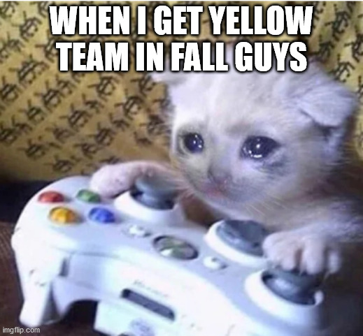 I don't play Fall Guys but I know how it feels | WHEN I GET YELLOW TEAM IN FALL GUYS | image tagged in sad gaming cat | made w/ Imgflip meme maker