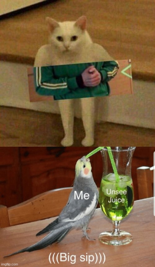 Welcome | image tagged in cursedcat,unsee juice | made w/ Imgflip meme maker