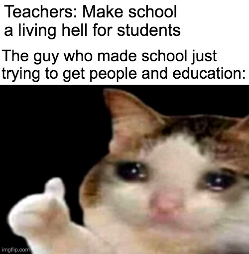 thank you teachers, very cool | Teachers: Make school a living hell for students; The guy who made school just trying to get people and education: | image tagged in sad cat thumbs up,memes,funny,relateable | made w/ Imgflip meme maker