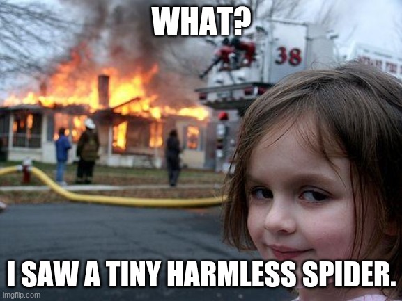 Disaster Girl Meme | WHAT? I SAW A TINY HARMLESS SPIDER. | image tagged in memes,disaster girl | made w/ Imgflip meme maker