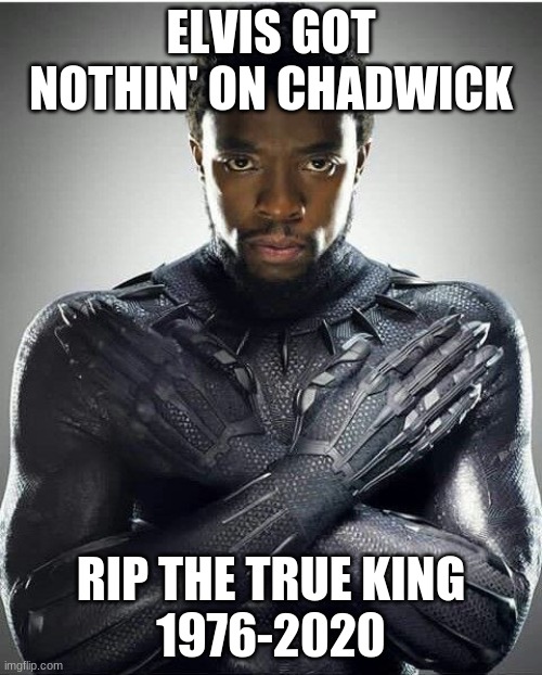 Chadwick Boseman | ELVIS GOT NOTHIN' ON CHADWICK; RIP THE TRUE KING
1976-2020 | image tagged in chadwick boseman | made w/ Imgflip meme maker
