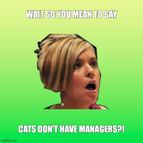 Karens be like: | image tagged in karen,manager,cat | made w/ Imgflip meme maker