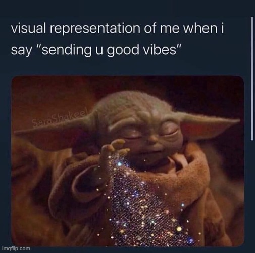 VIIIIIBEZZZZ | image tagged in yeet,funny,imgflip,vibe check | made w/ Imgflip meme maker
