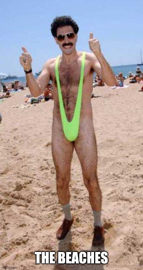 Beach Borat like  | THE BEACHES | image tagged in beach borat like | made w/ Imgflip meme maker