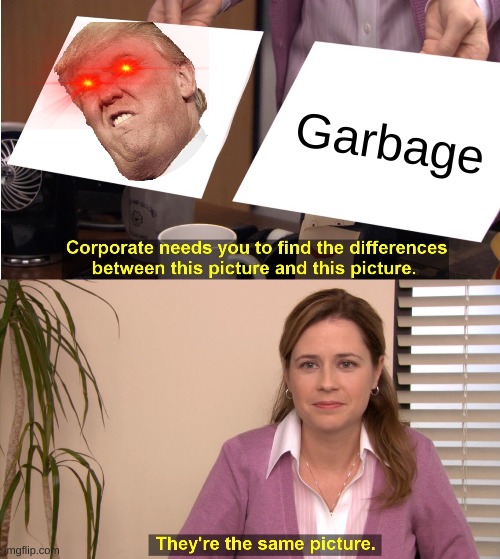 They're The Same Picture | Garbage | image tagged in memes,they're the same picture | made w/ Imgflip meme maker