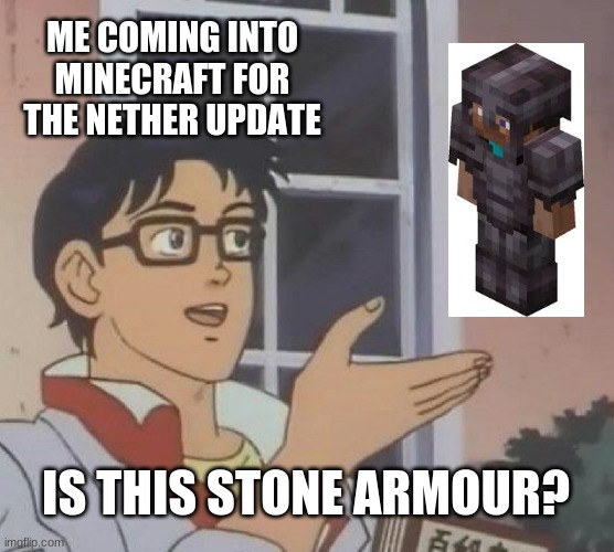 me coming into nether update like... | ME COMING INTO MINECRAFT FOR THE NETHER UPDATE; IS THIS STONE ARMOUR? | image tagged in memes,is this a pigeon | made w/ Imgflip meme maker