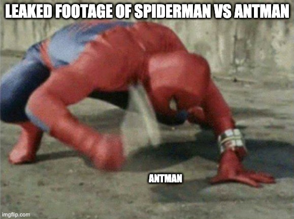 Spiderman wrench | LEAKED FOOTAGE OF SPIDERMAN VS ANTMAN; ANTMAN | image tagged in spiderman wrench | made w/ Imgflip meme maker