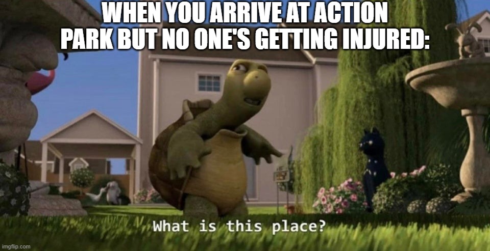 What is this place | WHEN YOU ARRIVE AT ACTION PARK BUT NO ONE'S GETTING INJURED: | image tagged in what is this place | made w/ Imgflip meme maker