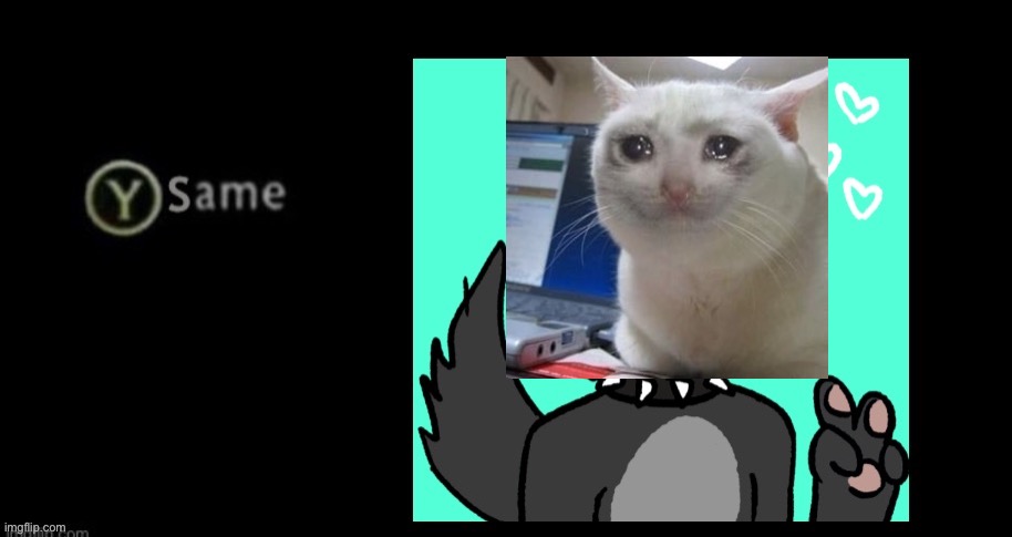 Y same Eric: | image tagged in y same eric | made w/ Imgflip meme maker