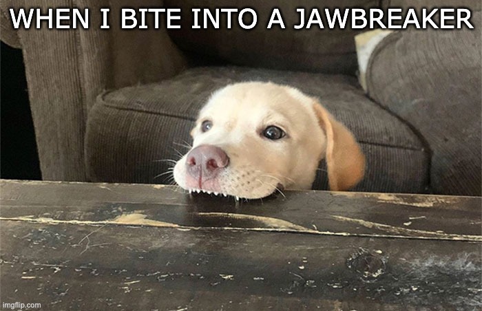 Ouch | WHEN I BITE INTO A JAWBREAKER | image tagged in fun | made w/ Imgflip meme maker