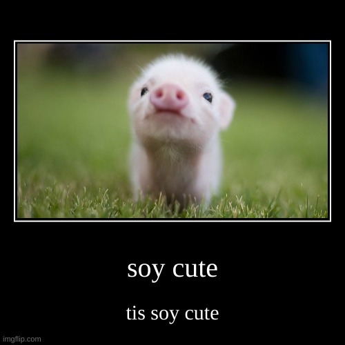 piggy | image tagged in funny,demotivationals,gif | made w/ Imgflip demotivational maker