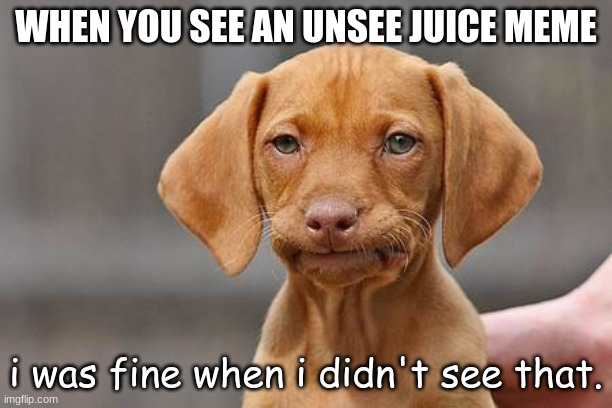 oop | WHEN YOU SEE AN UNSEE JUICE MEME; i was fine when i didn't see that. | image tagged in dissapointed puppy | made w/ Imgflip meme maker
