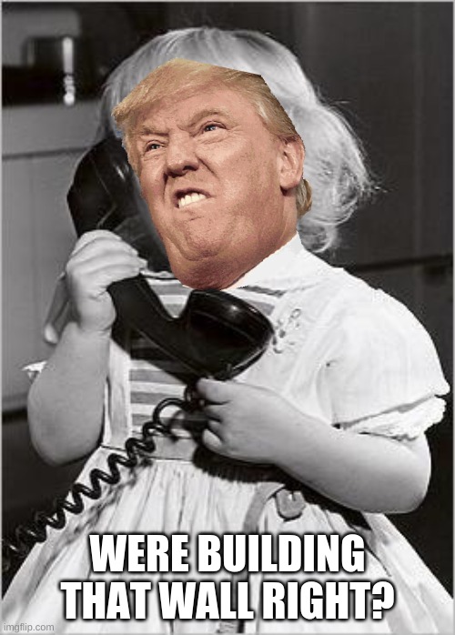 telephone girl | WERE BUILDING THAT WALL RIGHT? | image tagged in telephone girl | made w/ Imgflip meme maker