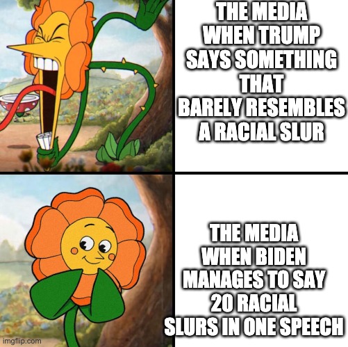 angry flower | THE MEDIA WHEN TRUMP SAYS SOMETHING THAT BARELY RESEMBLES A RACIAL SLUR; THE MEDIA WHEN BIDEN MANAGES TO SAY 20 RACIAL SLURS IN ONE SPEECH | image tagged in angry flower,memes,funny,politics | made w/ Imgflip meme maker