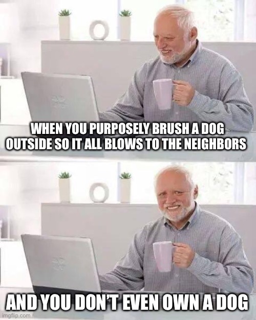 Spite holds no bounds | WHEN YOU PURPOSELY BRUSH A DOG OUTSIDE SO IT ALL BLOWS TO THE NEIGHBORS; AND YOU DON’T EVEN OWN A DOG | image tagged in memes,hide the pain harold | made w/ Imgflip meme maker