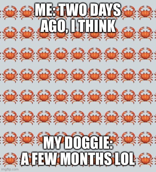 Question twoooo | ME: TWO DAYS AGO, I THINK; MY DOGGIE: A FEW MONTHS LOL | image tagged in crab background | made w/ Imgflip meme maker