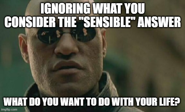 Are you doing it already? | IGNORING WHAT YOU CONSIDER THE "SENSIBLE" ANSWER; WHAT DO YOU WANT TO DO WITH YOUR LIFE? | image tagged in memes,matrix morpheus | made w/ Imgflip meme maker