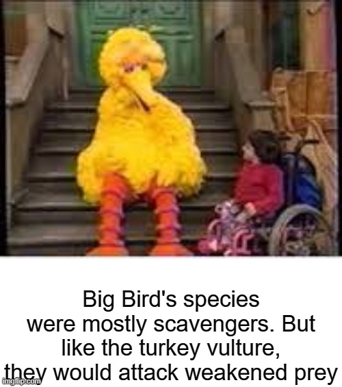 Big Bird's species were mostly scavengers. But like the turkey vulture, they would attack weakened prey | image tagged in elmo,spicy memes | made w/ Imgflip meme maker