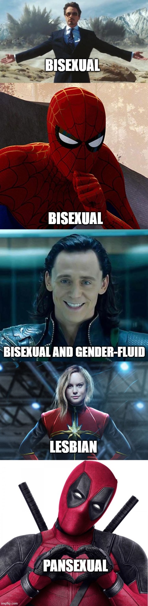 DID YOU KNOW ABOUT THESE?! They are officially my favorite superheroes! | BISEXUAL; BISEXUAL; BISEXUAL AND GENDER-FLUID; LESBIAN; PANSEXUAL | image tagged in loki,iron man,deadpool heart,captain marvel,spiderman,lgbtq | made w/ Imgflip meme maker