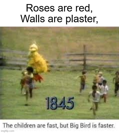 Roses are red,
Walls are plaster, | image tagged in big bird | made w/ Imgflip meme maker
