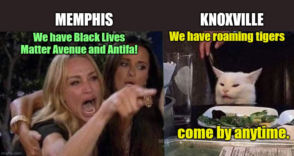 Ya'all come by now any time, ya hear? | MEMPHIS; KNOXVILLE; We have roaming tigers; We have Black Lives Matter Avenue and Antifa! come by anytime. | image tagged in woman yelling at cat,delapidated memphis,knoxville roaming tiger,humor | made w/ Imgflip meme maker