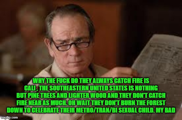 no country for old men tommy lee jones | WHY THE FUCK DO THEY ALWAYS CATCH FIRE IS CALI , THE SOUTHEASTERN UNITED STATES IS NOTHING BUT PINE TREES AND LIGHTER WOOD AND THEY DON'T CA | image tagged in no country for old men tommy lee jones | made w/ Imgflip meme maker