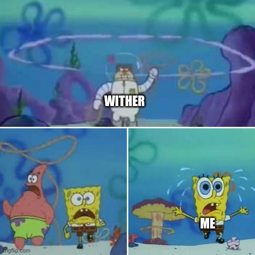Run sponge | WITHER ME | image tagged in run sponge | made w/ Imgflip meme maker