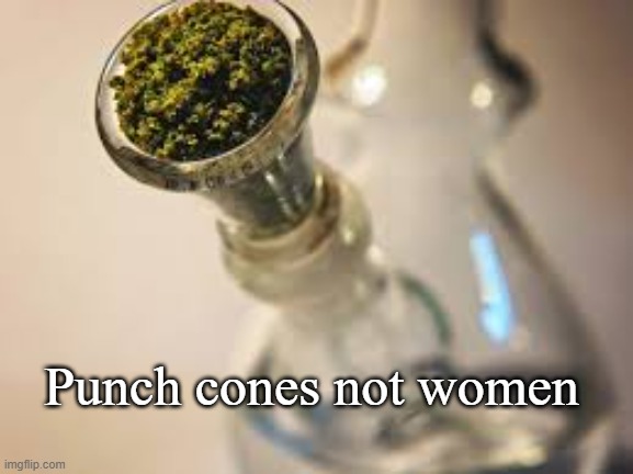 Punch cones not women | Punch cones not women | image tagged in domestic violence,cannabis | made w/ Imgflip meme maker