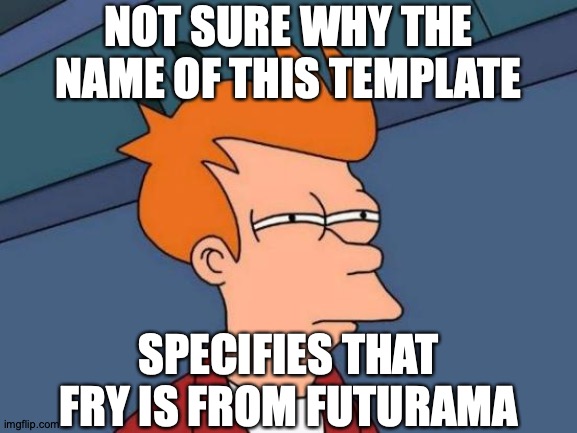 Are We Idiots? | NOT SURE WHY THE NAME OF THIS TEMPLATE; SPECIFIES THAT FRY IS FROM FUTURAMA | image tagged in memes,futurama fry,why tho | made w/ Imgflip meme maker