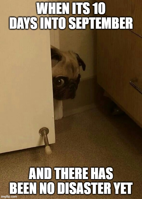 Cautious pug | WHEN ITS 10 DAYS INTO SEPTEMBER; AND THERE HAS BEEN NO DISASTER YET | image tagged in cautious pug,coronavirus,meme,september,random tag | made w/ Imgflip meme maker