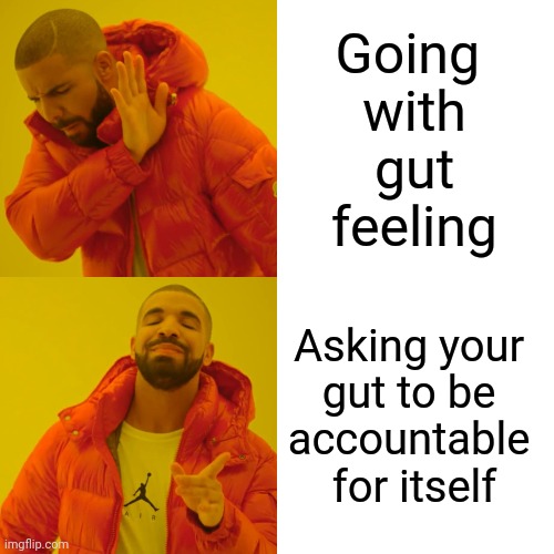 It never seems to take itself seriously. | Going 
with
gut
feeling; Asking your 
gut to be 
accountable 
for itself | image tagged in memes,drake hotline bling | made w/ Imgflip meme maker