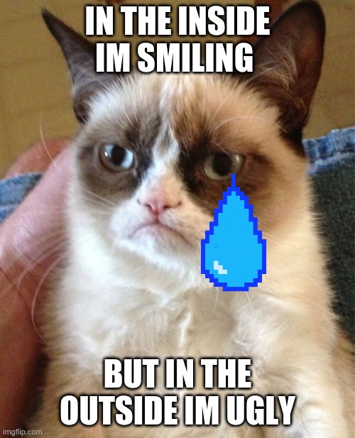 Grumpy Cat Meme | IN THE INSIDE IM SMILING; BUT IN THE OUTSIDE IM UGLY | image tagged in memes,grumpy cat | made w/ Imgflip meme maker