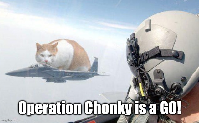 Operation Chonky is a GO! | made w/ Imgflip meme maker