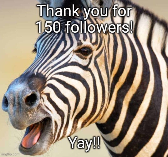 Happy Zebra | Thank you for 150 followers! Yay!! | image tagged in happy zebra | made w/ Imgflip meme maker