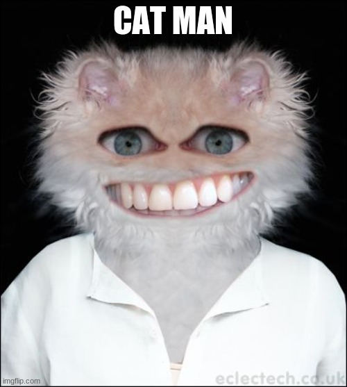 Cat man | CAT MAN | image tagged in cat man | made w/ Imgflip meme maker