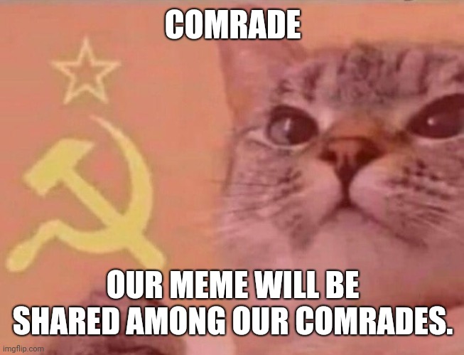 Comrade our meme will be shared |  COMRADE; OUR MEME WILL BE SHARED AMONG OUR COMRADES. | image tagged in communist cat | made w/ Imgflip meme maker