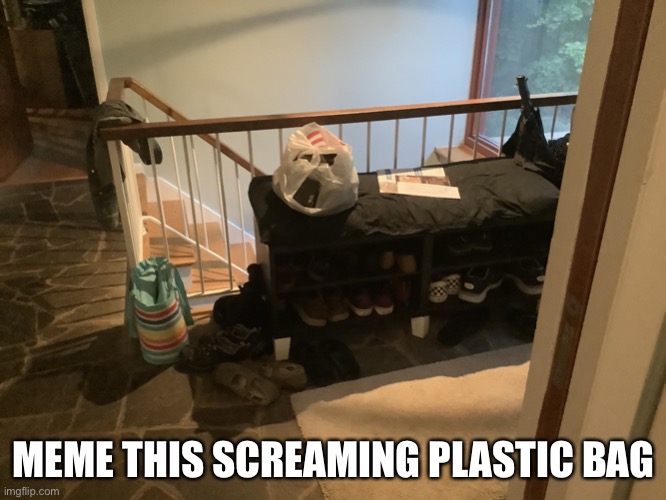 Screaming plastic bag | MEME THIS SCREAMING PLASTIC BAG | image tagged in screaming plastic bag,meme template | made w/ Imgflip meme maker