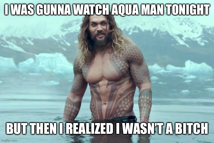 aquaman | I WAS GUNNA WATCH AQUA MAN TONIGHT; BUT THEN I REALIZED I WASN’T A BITCH | image tagged in aquaman | made w/ Imgflip meme maker