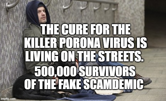 homeless | THE CURE FOR THE KILLER PORONA VIRUS IS LIVING ON THE STREETS. 500,000 SURVIVORS OF THE FAKE SCAMDEMIC | image tagged in homeless | made w/ Imgflip meme maker