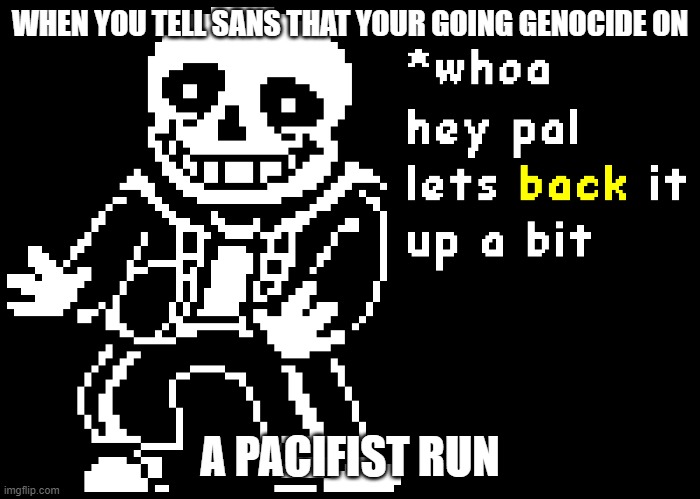 lets back it up a bit | WHEN YOU TELL SANS THAT YOUR GOING GENOCIDE ON; A PACIFIST RUN | made w/ Imgflip meme maker