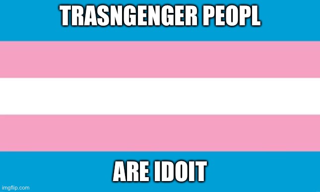 TRUE | TRASNGENGER PEOPL; ARE IDOIT | image tagged in transgender flag | made w/ Imgflip meme maker