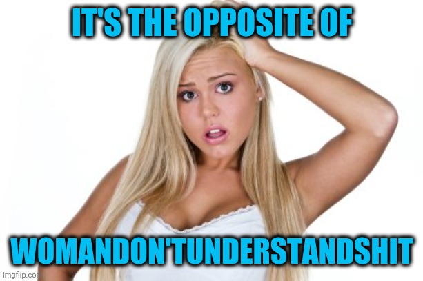 Dumb Blonde | IT'S THE OPPOSITE OF WOMANDON'TUNDERSTANDSHIT | image tagged in dumb blonde | made w/ Imgflip meme maker