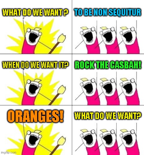 You figure it out | WHAT DO WE WANT ? TO BE NON SEQUITUR; WHEN DO WE WANT IT? ROCK THE CASBAH! ORANGES! WHAT DO WE WANT? | image tagged in memes,what do we want 3 | made w/ Imgflip meme maker