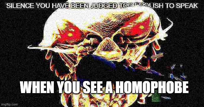 Silence you have been judged too foolish to speak | WHEN YOU SEE A HOMOPHOBE | image tagged in silence you have been judged too foolish to speak | made w/ Imgflip meme maker