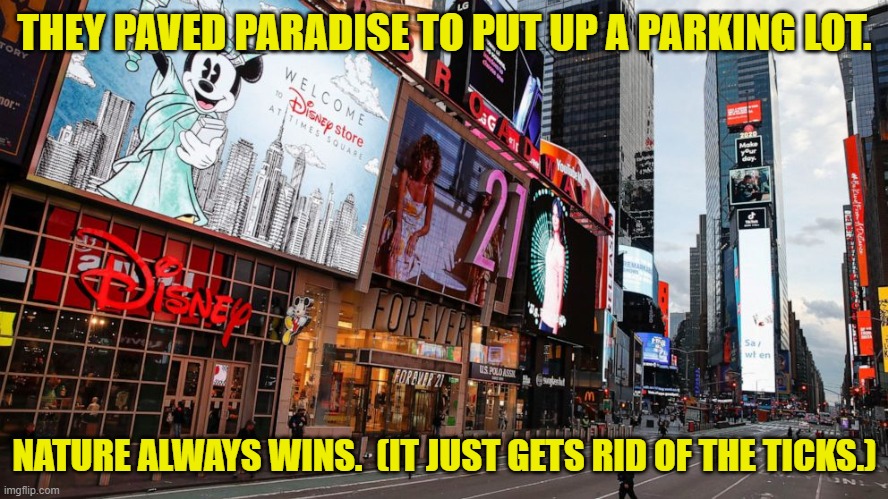 Nature will win again. | THEY PAVED PARADISE TO PUT UP A PARKING LOT. NATURE ALWAYS WINS.  (IT JUST GETS RID OF THE TICKS.) | image tagged in nyc | made w/ Imgflip meme maker
