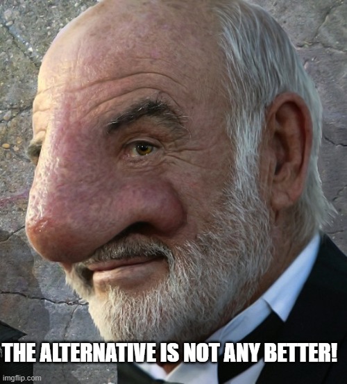 Connery big nose | THE ALTERNATIVE IS NOT ANY BETTER! | image tagged in connery big nose | made w/ Imgflip meme maker