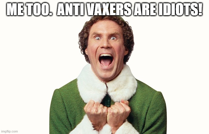 Buddy the elf excited | ME TOO.  ANTI VAXERS ARE IDIOTS! | image tagged in buddy the elf excited | made w/ Imgflip meme maker